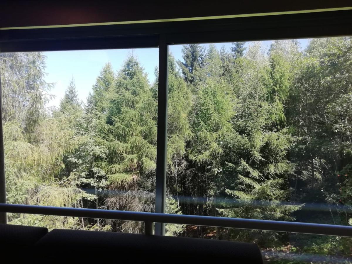 Апартаменты Finestra Sul Bosco - Monolocale Marilleva 1400 Экстерьер фото